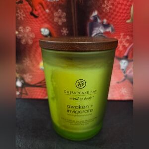 🆕️Chesapeake Bay Awaken + Invigorate Candle - Vibrant Green🔷️